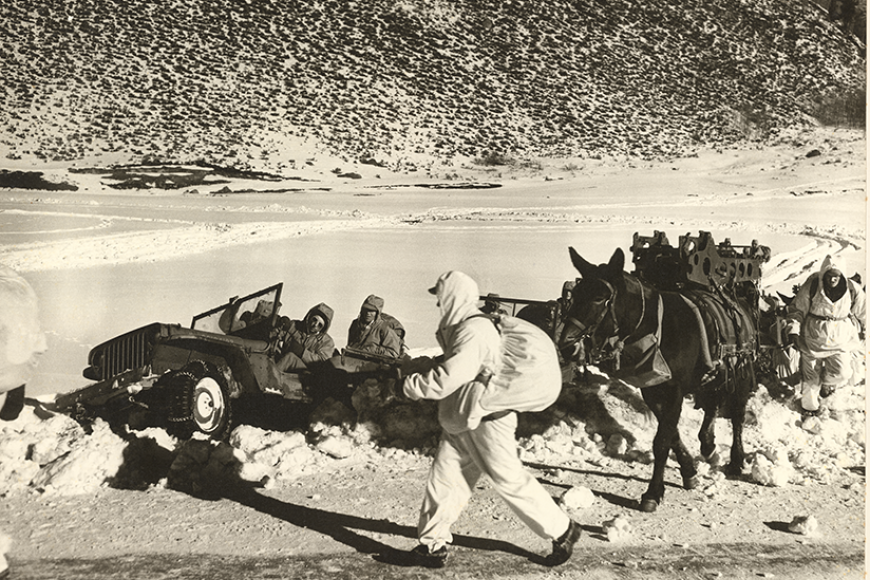 A black and white photo of Camp Hale soldiers trudging through the snow. On the left, there's 2 soldiers in a Jeep trying to drive up a slope. On the right, a mule is pulling equipment down a path.