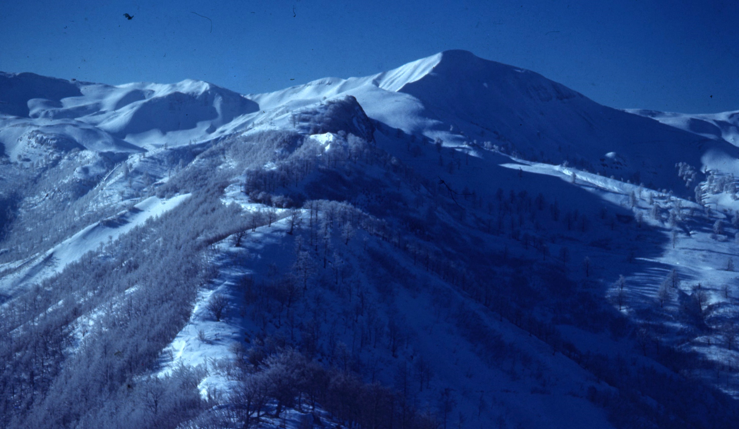 Riva Ridge, as photographed by a 10th Mountain Division soldier
