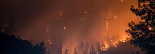 Image of a wild fire burning a hilside forest at night.