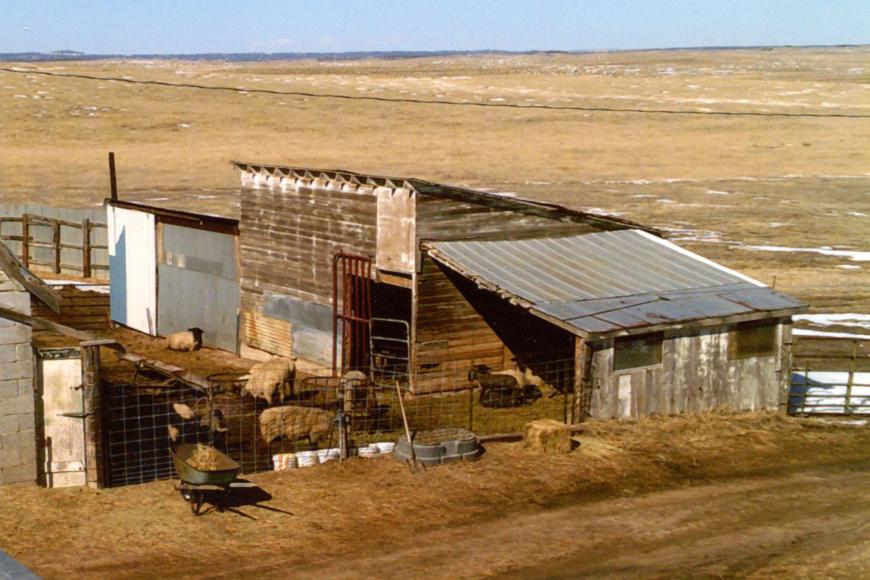 Spool Ranch/Sakala Homestead horse barn (centre structure), built 1920.