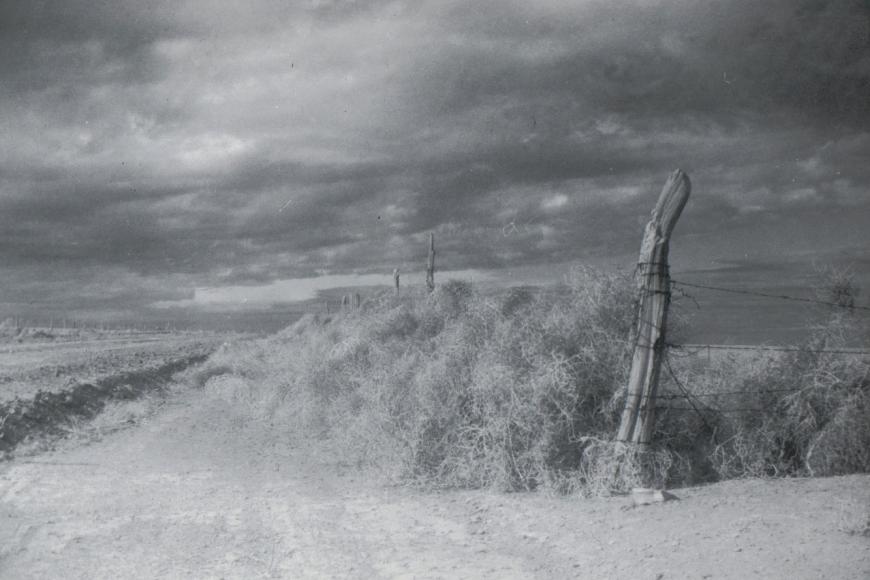 After a dust storm, Christmas 1959.