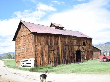 Irving/Fletcher/Switzer Farm Barn, 5CF.3327 