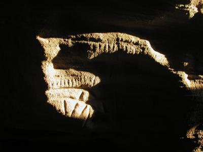 Alleged Ogham script in Crack Cave